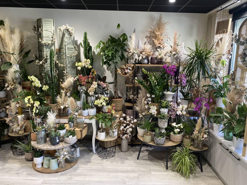 boutique (1)-min